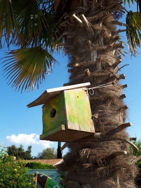 Photo 36 : JARDIN d'une maison située à La Flotte-en-Ré, île de Ré.