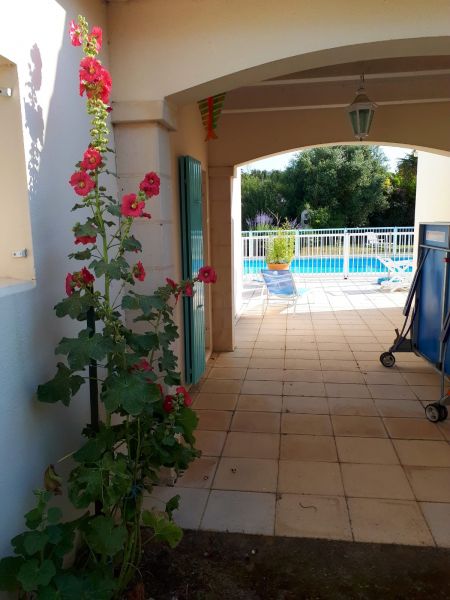 Photo 35 : TERRASSE d'une maison située à La Flotte-en-Ré, île de Ré.
