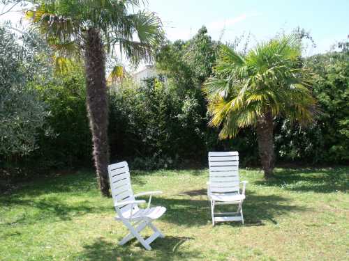 Photo 10 : JARDIN d'une maison située à La Flotte, île de Ré.