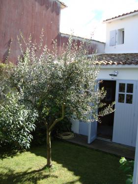 Photo 13 : NC d'une maison située à Les Portes-en-Ré, île de Ré.