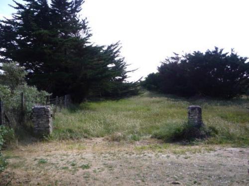 Photo 7 : EXTERIEUR d'une maison située à Sainte-Marie-de-Ré, île de Ré.