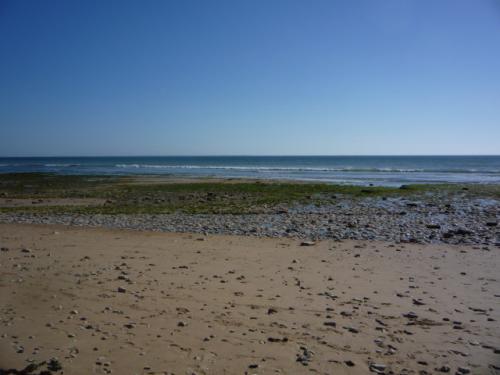 Photo 11 : NC d'une maison située à Sainte-Marie-de-Ré, île de Ré.