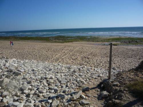 Photo 12 : AUTRE d'une maison située à Sainte-Marie-de-Ré, île de Ré.