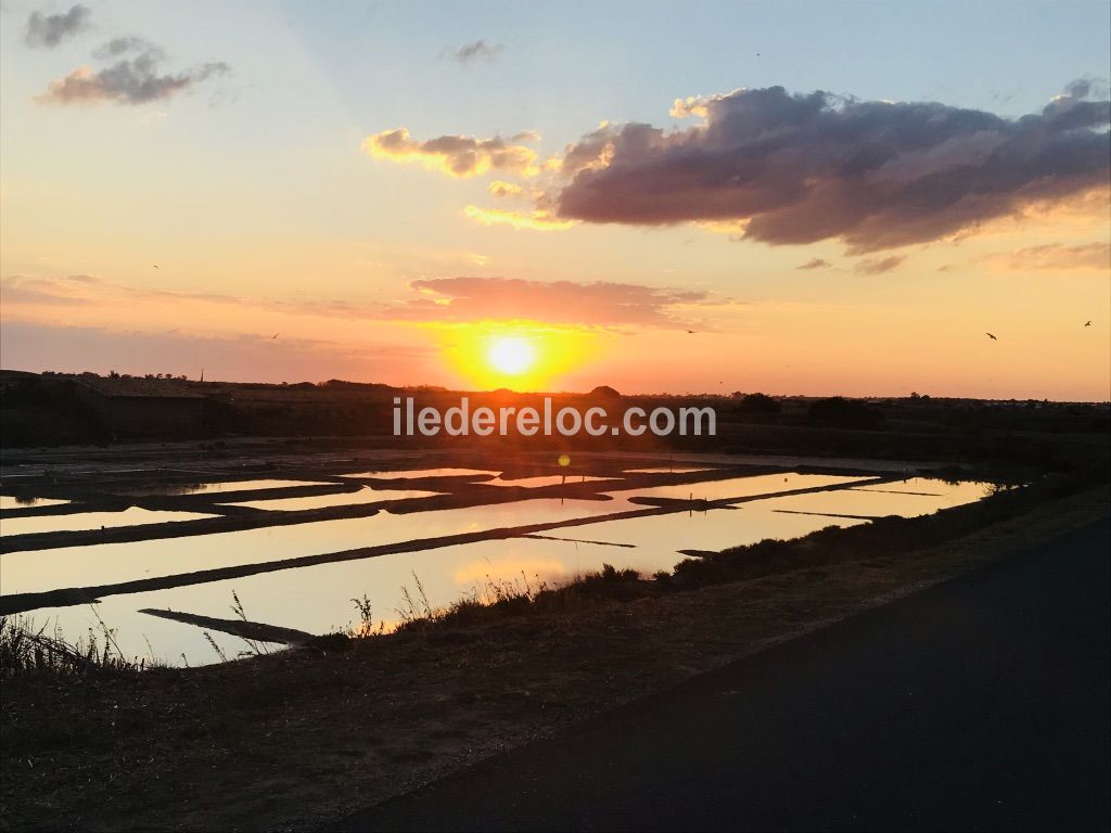 Photo 45 : AUTRE d'une maison situ&eacute;e &agrave; Ars en R&eacute;, &icirc;le de R&eacute;.