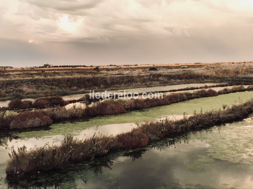Photo 46 : AUTRE d'une maison situ&eacute;e &agrave; Ars en R&eacute;, &icirc;le de R&eacute;.