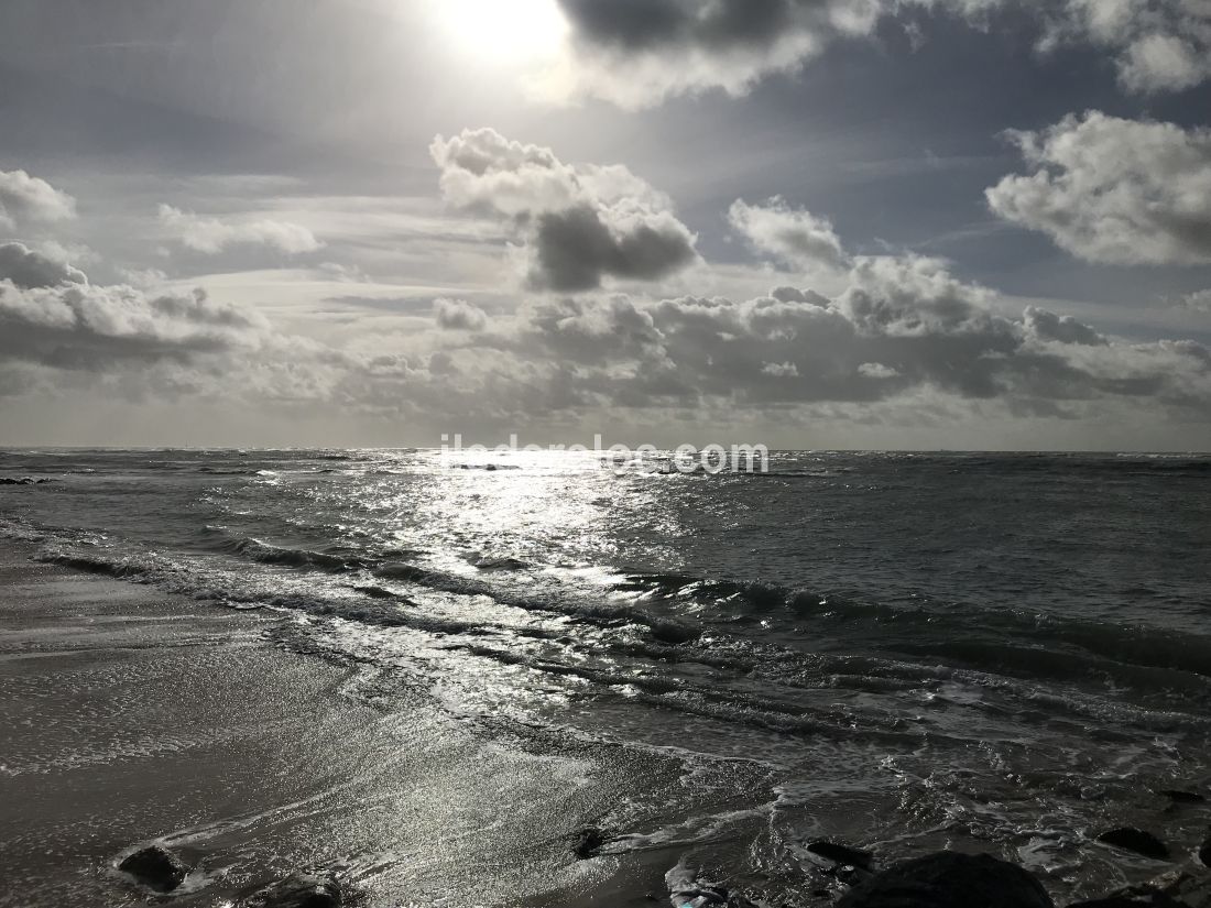Photo 44 : AUTRE d'une maison situ&eacute;e &agrave; Ars en R&eacute;, &icirc;le de R&eacute;.