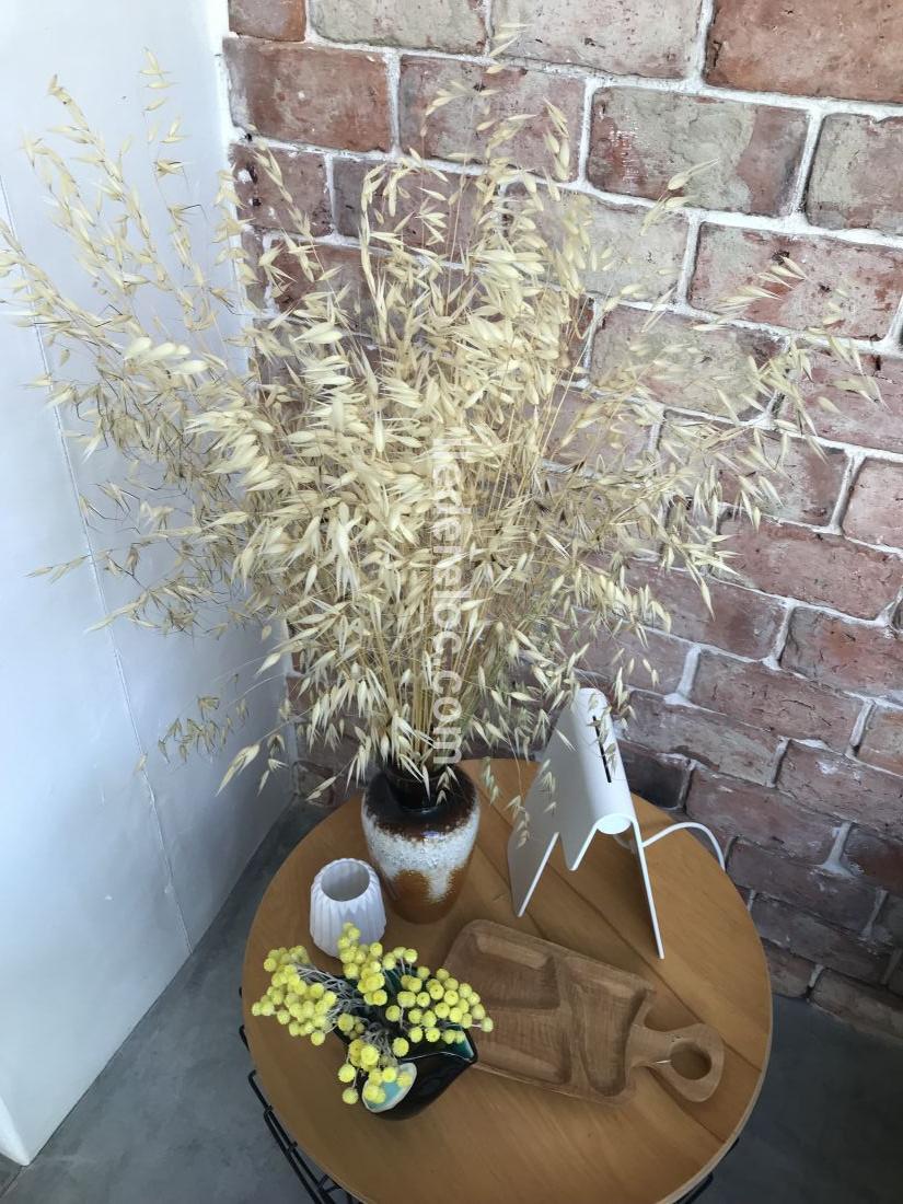 Photo 42 : AUTRE d'une maison situ&eacute;e &agrave; Ars en R&eacute;, &icirc;le de R&eacute;.