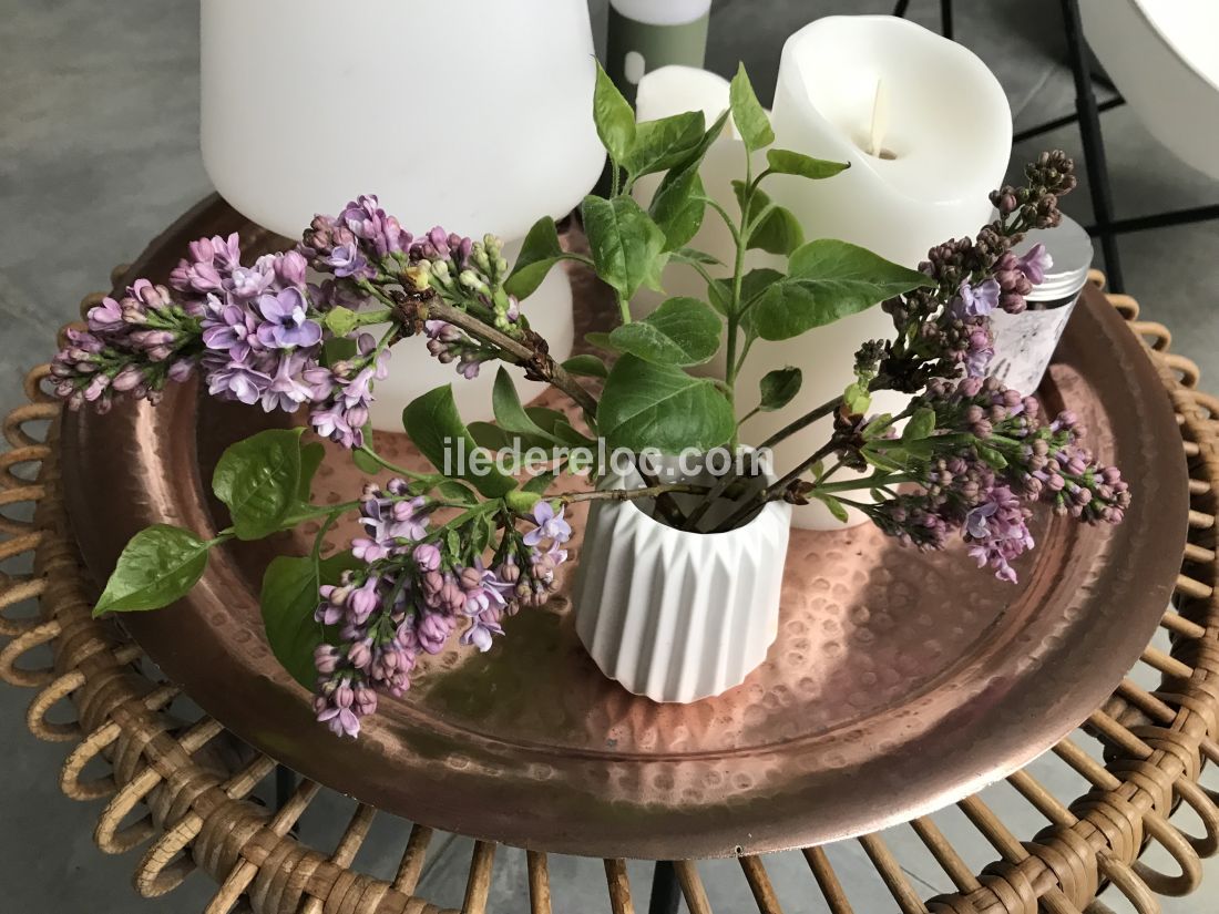 Photo 41 : AUTRE d'une maison situ&eacute;e &agrave; Ars en R&eacute;, &icirc;le de R&eacute;.