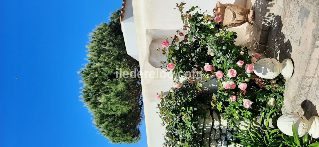 Photo 11 : NC d'une maison situ&eacute;e &agrave; Saint-Cl&eacute;ment-des-Baleines, &icirc;le de R&eacute;.