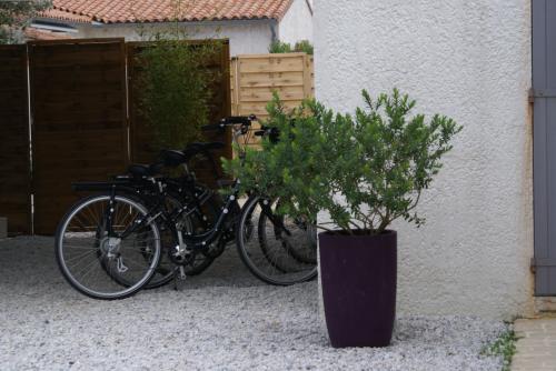 Photo 5 : AUTRE d'une maison située à Saint-Martin-de-Ré, île de Ré.