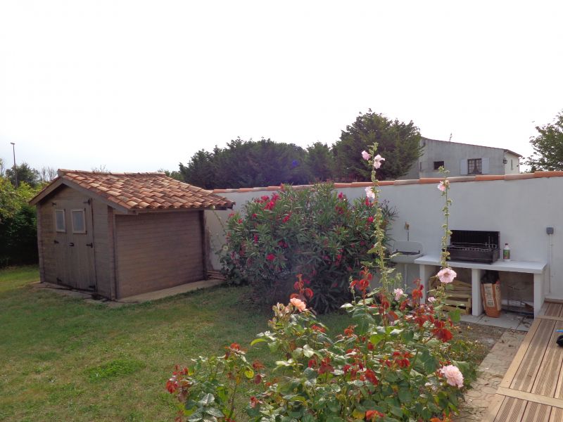 Photo 6 : JARDIN d'une maison située à Saint-Martin-de-Ré, île de Ré.