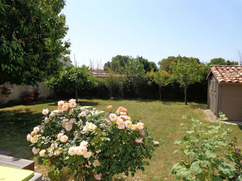 Photo 4 : JARDIN d'une maison située à Saint-Martin-de-Ré, île de Ré.