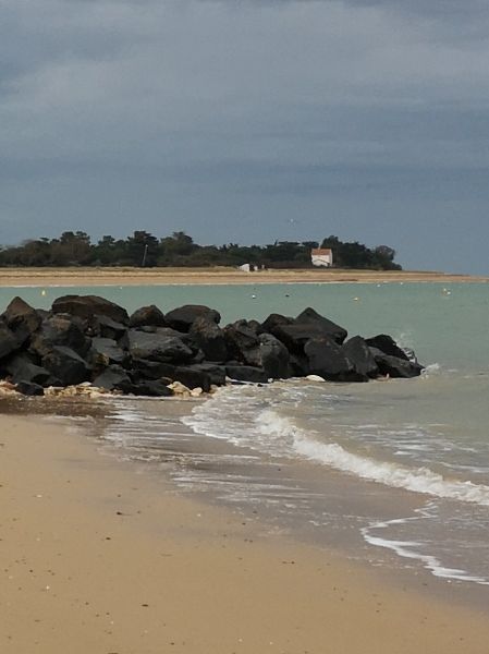 Photo 18 : AUTRE d'une maison située à Les Portes-en-Ré, île de Ré.