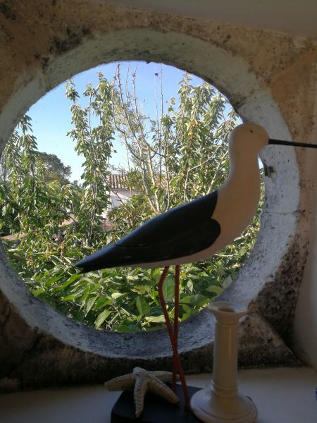 Photo 1 : EXTERIEUR d'une maison située à Les Portes-en-Ré, île de Ré.