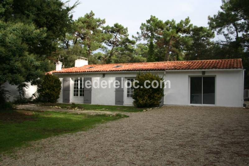 Photo 13 : JARDIN d'une maison située à Rivedoux-Plage, île de Ré.