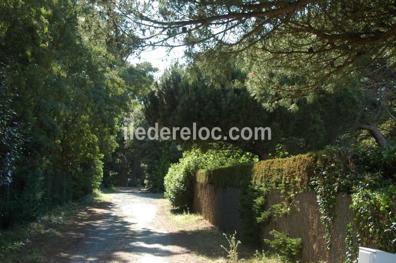 Photo 6 : JARDIN d'une maison située à Sainte-Marie-de-Ré, île de Ré.