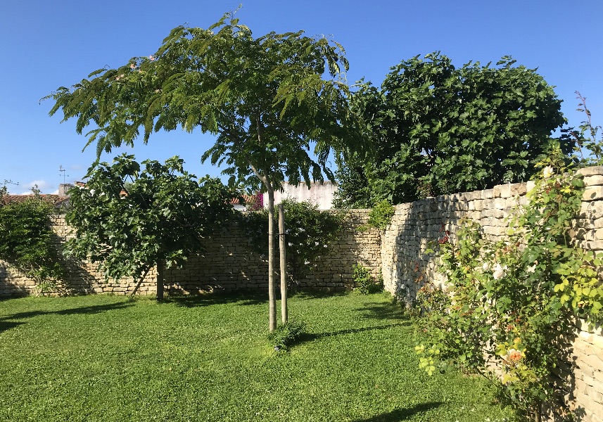 Photo 4 : NC d'une maison située à Ars en Ré, île de Ré.