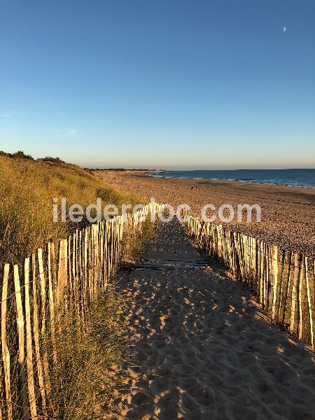 Photo 23 : NC d'une maison située à La Flotte, île de Ré.