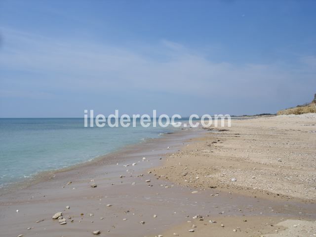 Photo 12 : NC d'une maison située à Sainte-Marie-de-Ré, île de Ré.