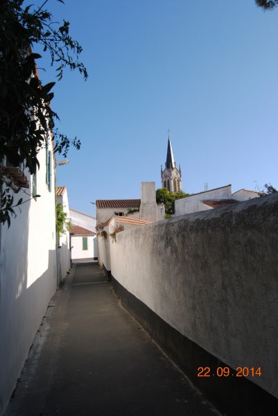 Photo 31 : EXTERIEUR d'une maison située à La Couarde-sur-mer, île de Ré.