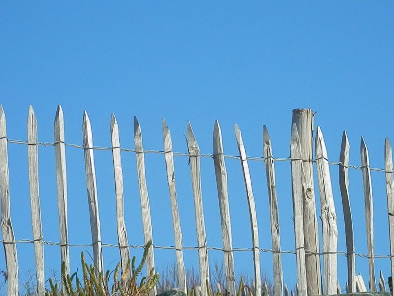 Photo 34 : EXTERIEUR d'une maison située à La Couarde-sur-mer, île de Ré.