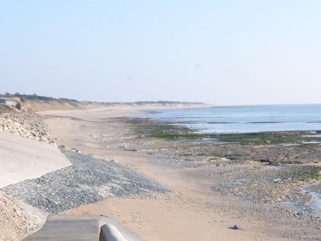 Photo 12 : NC d'une maison située à Saint-Clement, île de Ré.