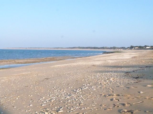 Photo 13 : NC d'une maison située à Saint-Clément-des-Baleines, île de Ré.