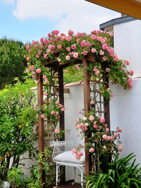 Photo 26 : JARDIN d'une maison située à Le Bois-Plage-en-Ré, île de Ré.