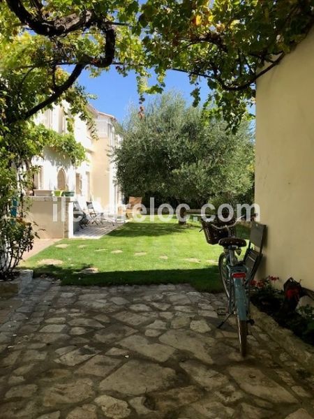 Photo 2 : JARDIN d'une maison située à La Couarde-sur-mer, île de Ré.