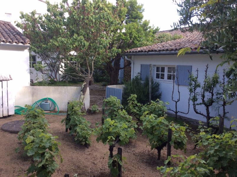 Photo 7 : JARDIN d'une maison située à Les Portes-en-Ré, île de Ré.