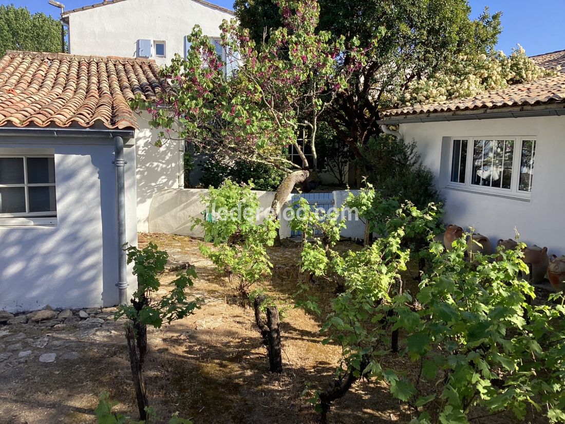 Photo 6 : NC d'une maison situ&eacute;e &agrave; Les Portes-en-R&eacute;, &icirc;le de R&eacute;.