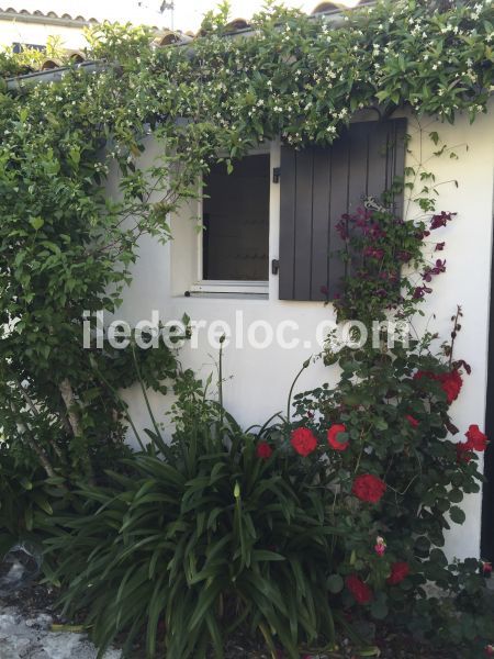 Photo 15 : NC d'une maison située à Les Portes-en-Ré, île de Ré.