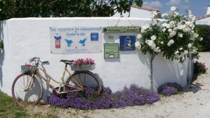 ile de ré Gite bbord -les mouettes en chaussettes- 