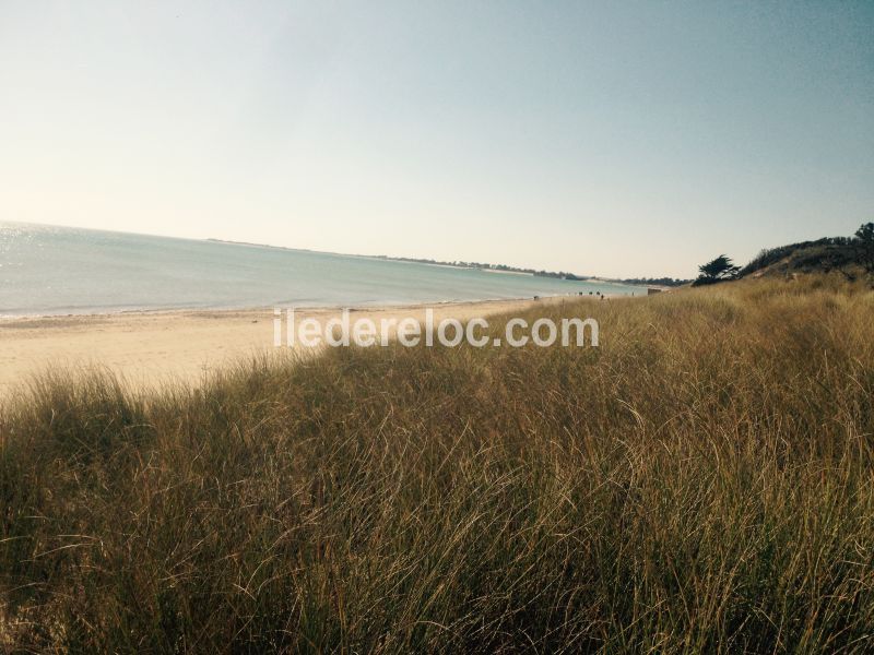 Photo 13 : EXTERIEUR d'une maison située à La Couarde-sur-mer, île de Ré.