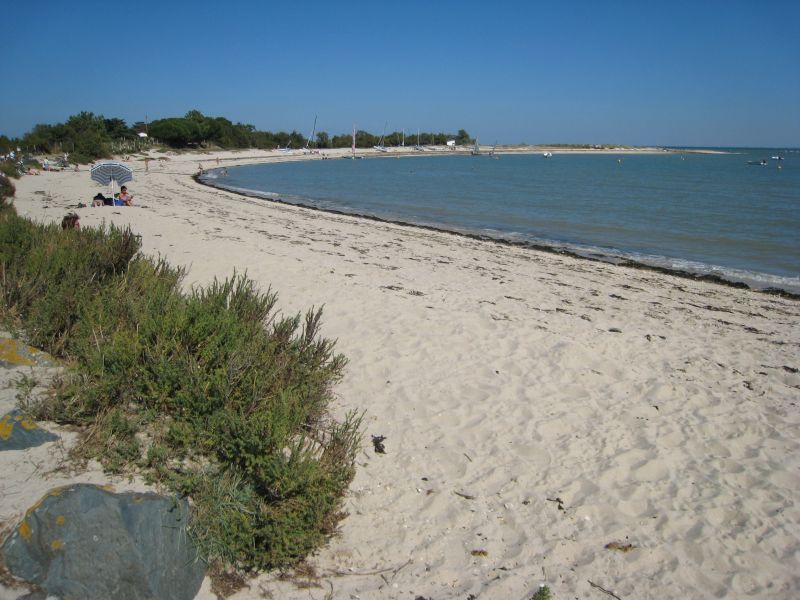 Photo 13 : NC d'une maison située à Loix, île de Ré.