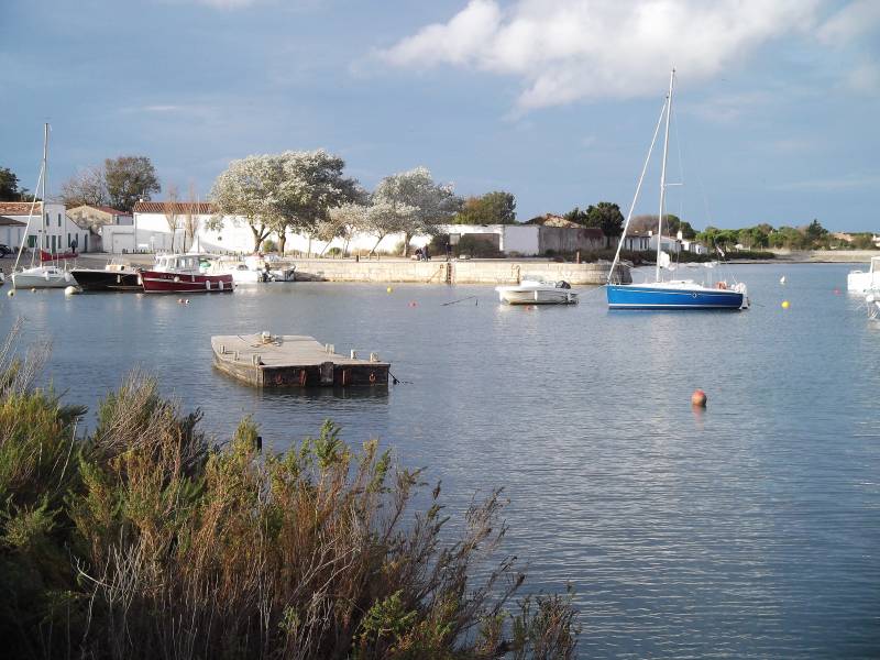 Photo 13 : NC d'une maison située à Loix, île de Ré.