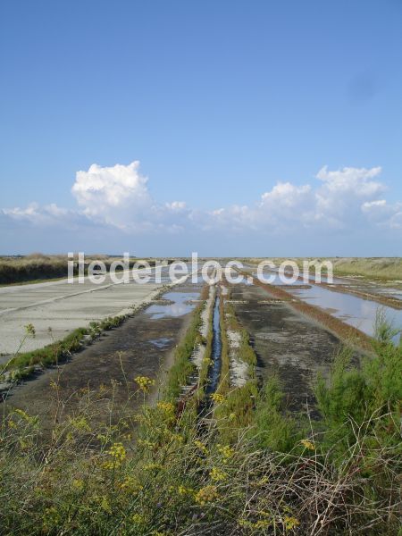 Photo 21 : AUTRE d'une maison située à Ars, île de Ré.