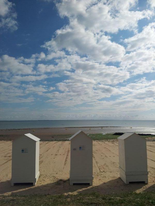 Photo 35 : EXTERIEUR d'une maison située à Saint-Martin-de-Ré, île de Ré.