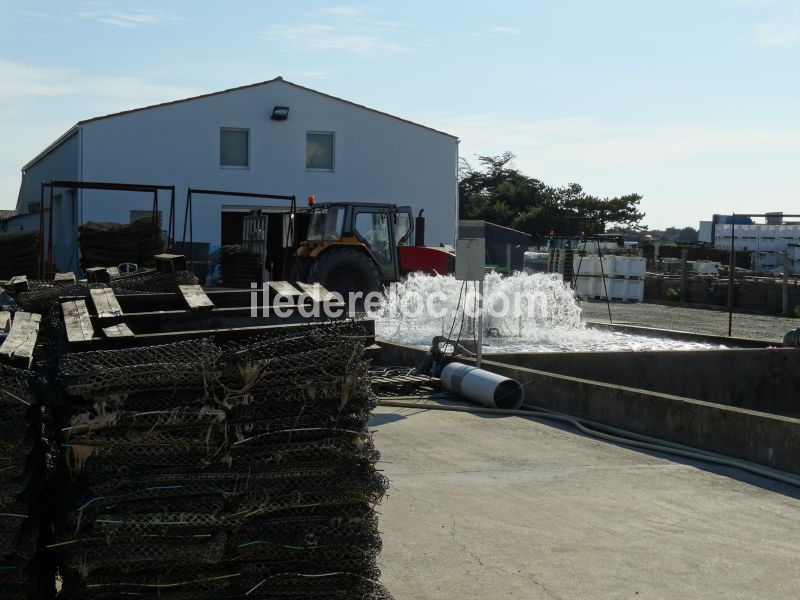 Photo 25 : NC d'une maison située à Saint-Martin-de-Ré, île de Ré.