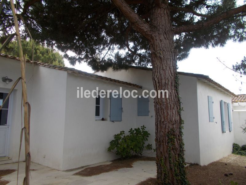 Photo 4 : NC d'une maison située à Le Bois-Plage-en-Ré, île de Ré.