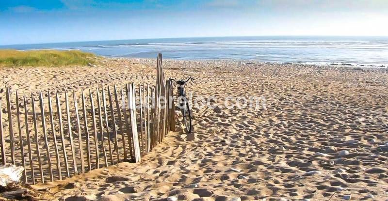 Photo 10 : AUTRE d'une maison située à Sainte-Marie-de-Ré, île de Ré.