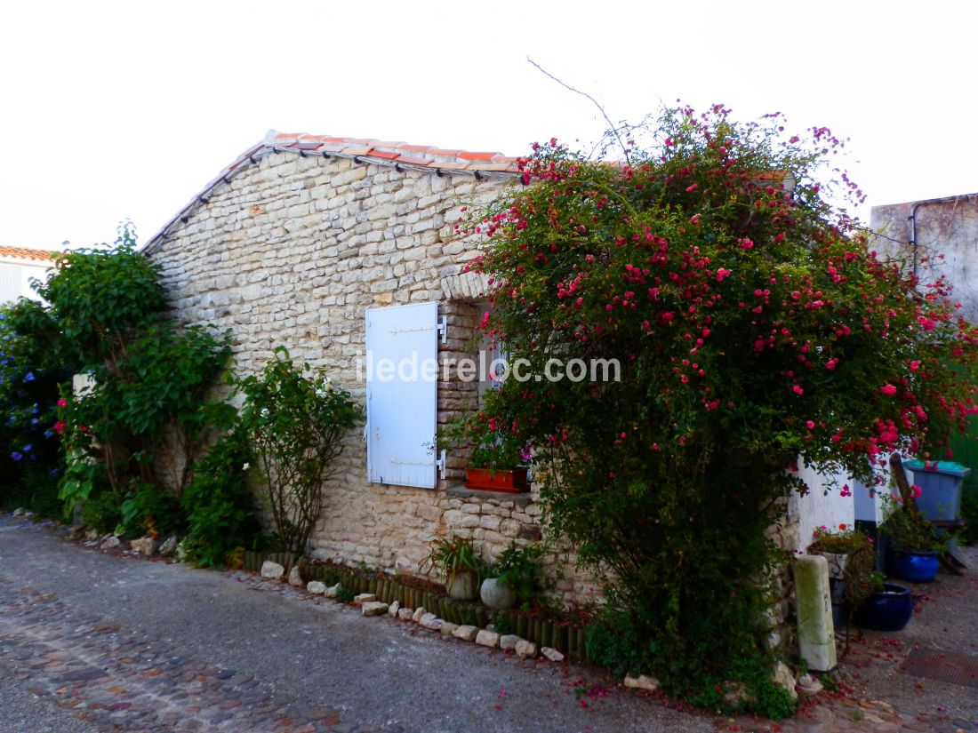 Photo 3 : NC d'une maison située à Saint-Martin-de-Ré, île de Ré.