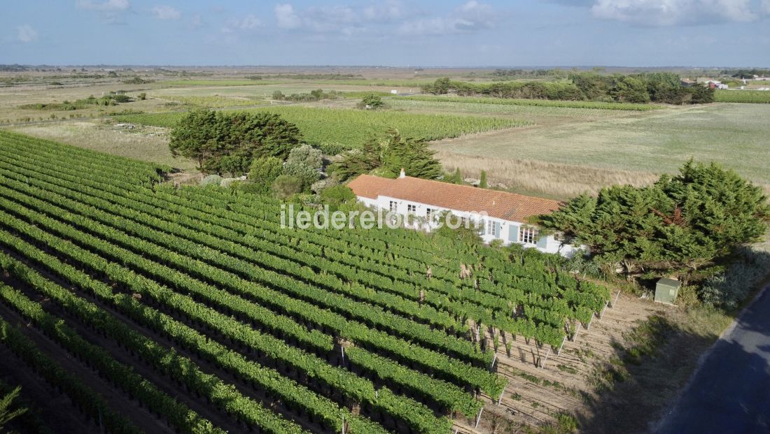 Photo 1 : EXTERIEUR d'une maison située à Saint-Clément-des-Baleines, île de Ré.