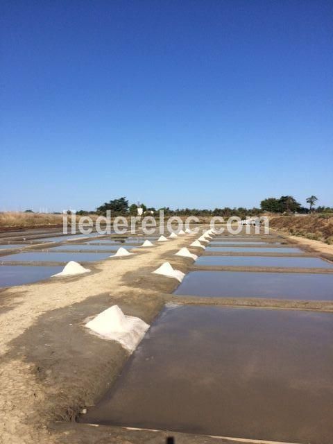 Photo 14 : EXTERIEUR d'une maison située à Saint-Martin-de-Ré, île de Ré.