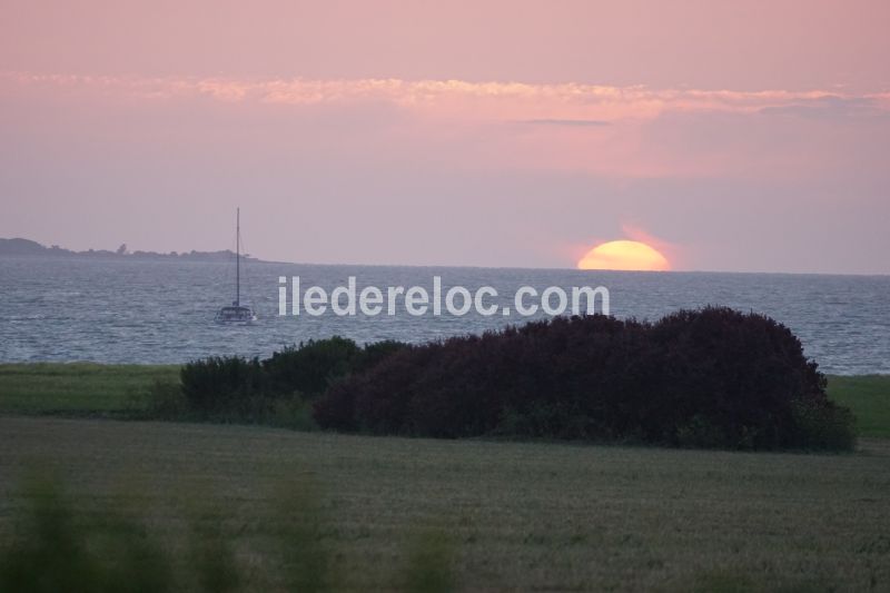 Photo 15 : EXTERIEUR d'une maison située à La Flotte-en-Ré, île de Ré.