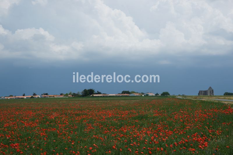 Photo 16 : EXTERIEUR d'une maison située à La Flotte-en-Ré, île de Ré.