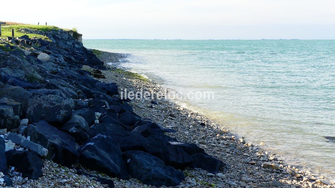 Photo 19 : EXTERIEUR d'une maison située à La Flotte-en-Ré, île de Ré.