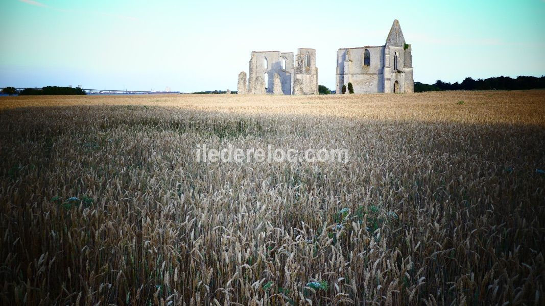 Photo 18 : EXTERIEUR d'une maison située à La Flotte-en-Ré, île de Ré.