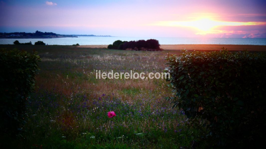 Photo 14 : EXTERIEUR d'une maison située à La Flotte-en-Ré, île de Ré.