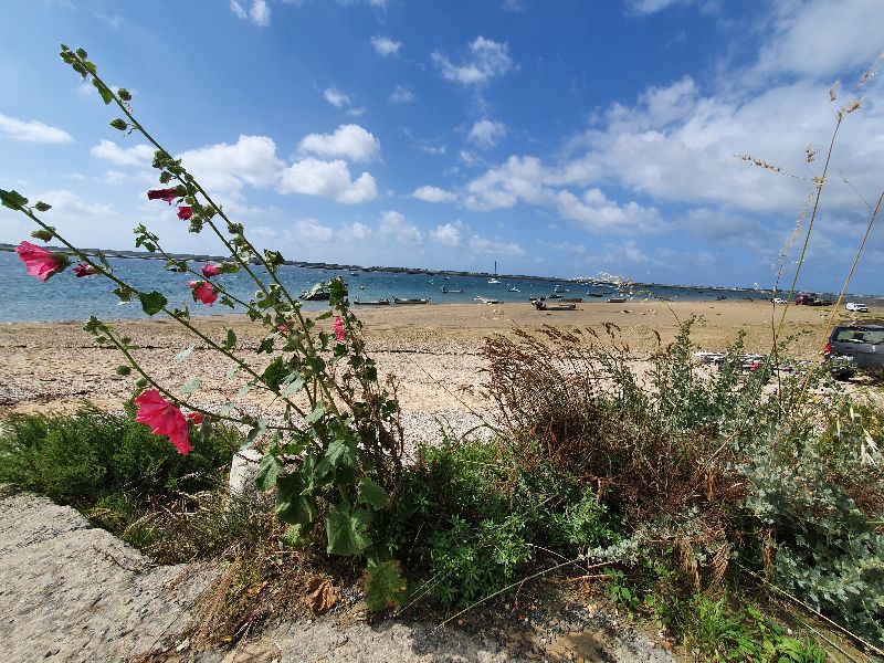 Photo 35 : NC d'une maison située à Saint-Clement, île de Ré.